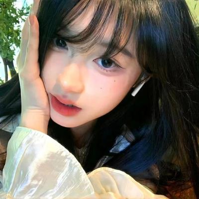 大象之梦